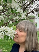 12th May 2023 - 0512crabapple blossom