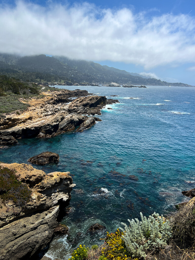 Point Lobos State Park by 2022julieg