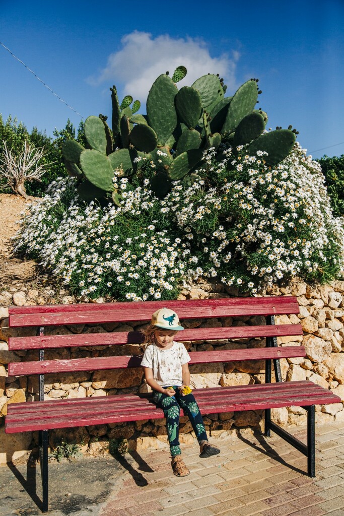 The tale of the giant daisy and the cactus by lily
