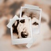 Framed in Two by cocokinetic