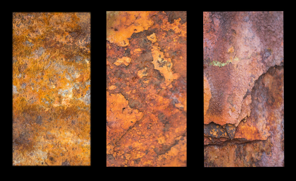 Shades of Rust by fbailey
