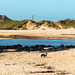 Rhosneigr Anglesey by clifford