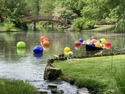 10th May 2023 - More  Chihuly 