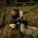 It’s lambing time on the hill sheep farm. by billdavidson