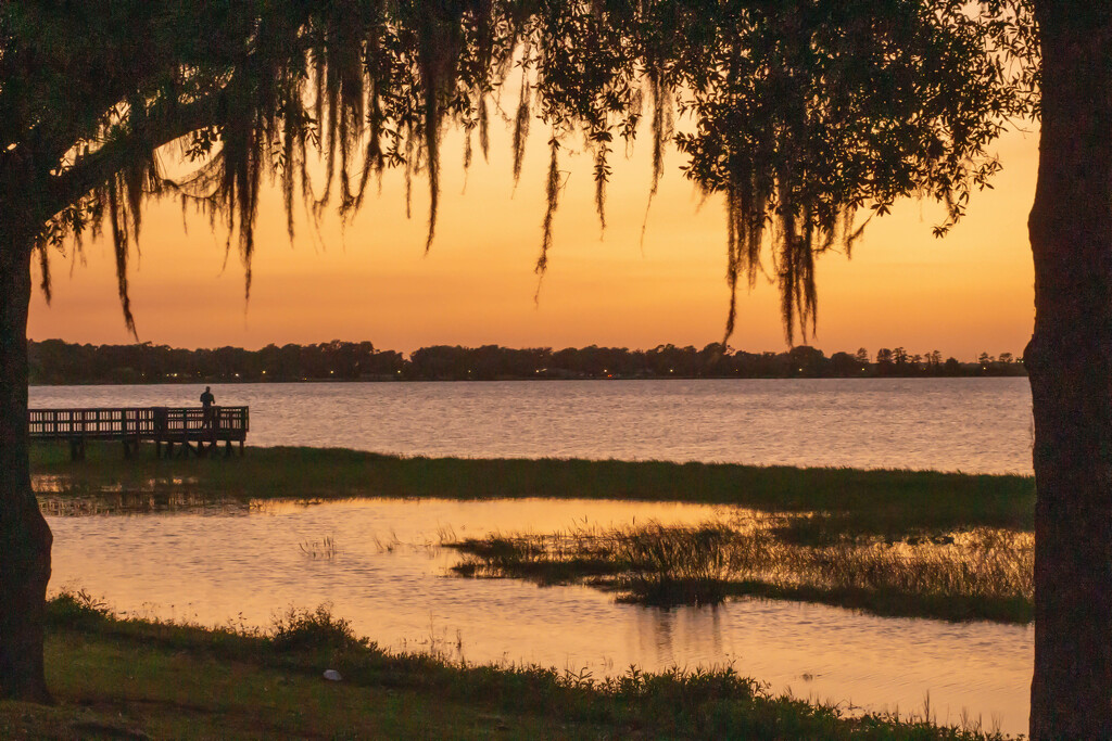 Florida lake sunset by frodob