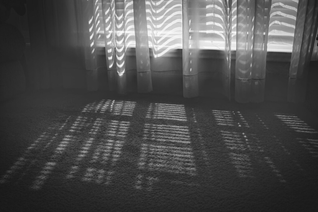 Shadows & Light by judyc57