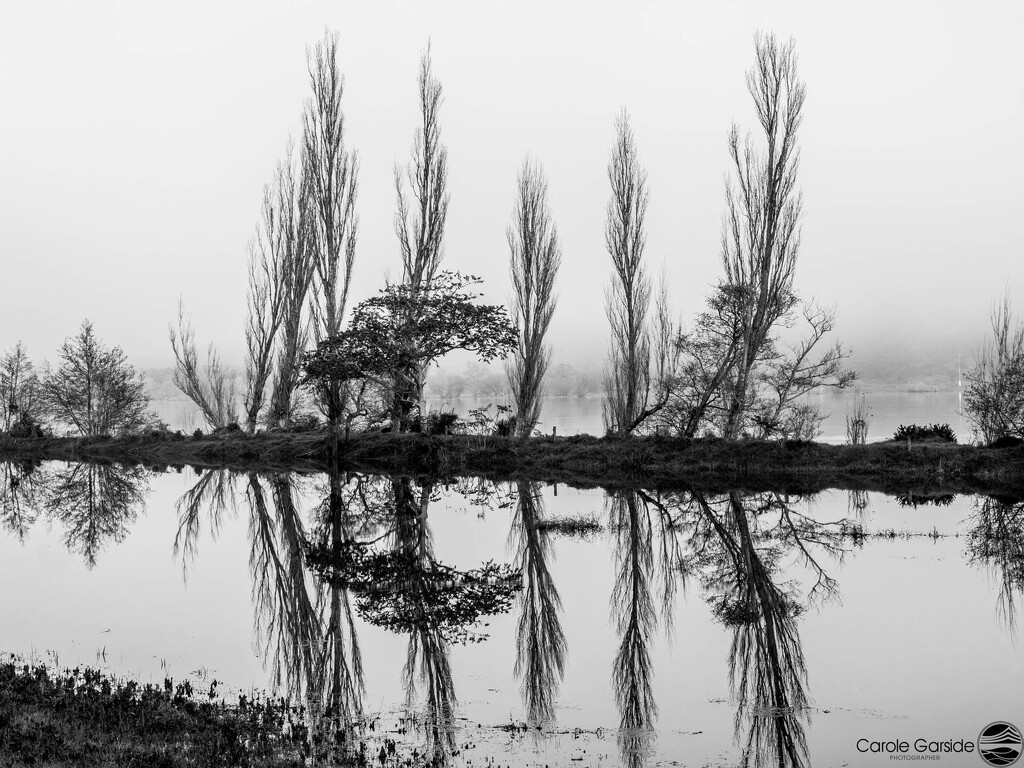 Flood Reflections by yorkshirekiwi