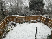 9th Mar 2023 - Snowy garden...