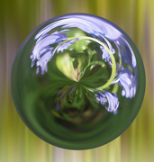 14th May 2023 - Bluebell Bauble