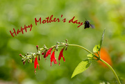 14th May 2023 - Happy Mother's day