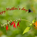 Happy Mother's day by ingrid01