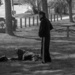 Williams Lake Park Drama