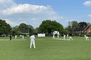 14th May 2023 - Village cricket 