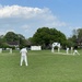 Village cricket  by jeremyccc