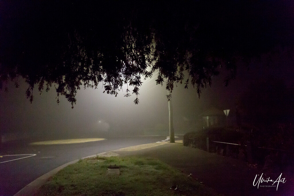 early fog by ulla