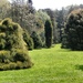 Arboretum.... by cutekitty