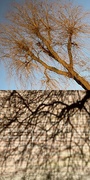 15th May 2023 - Associative diptych