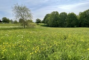 15th May 2023 - Kent Countryside 
