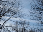 31st Jan 2011 - Blue sky