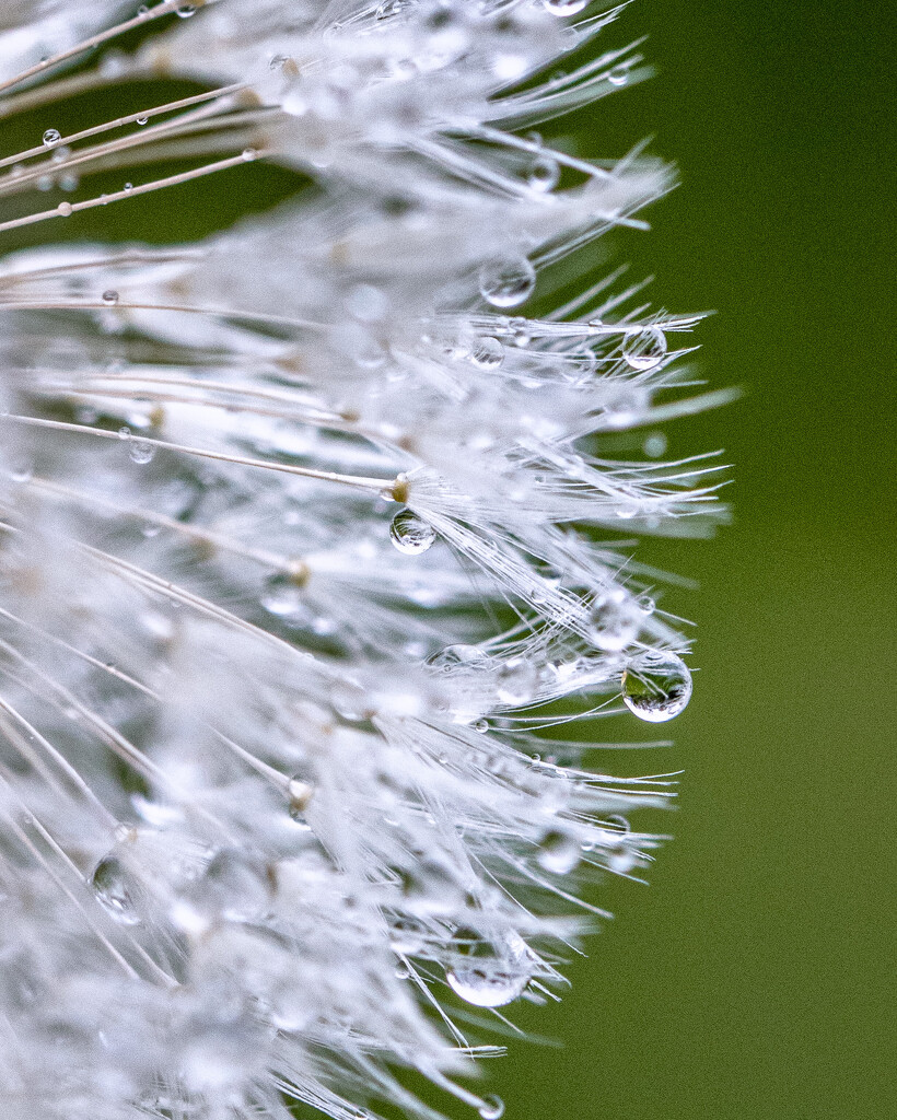 droplets by aecasey