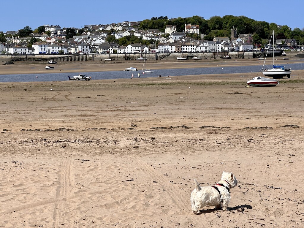 Extras - Instow across to  Appledore  by pamknowler