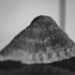 05-16 - Landscape