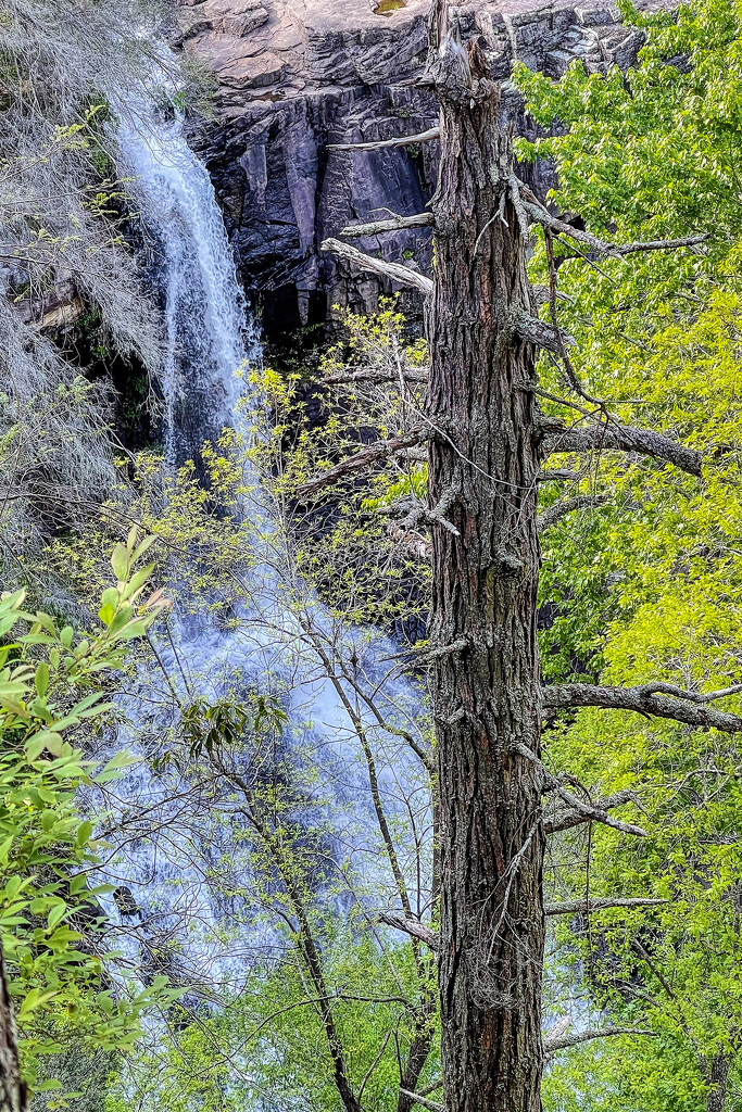 Piney Falls by k9photo
