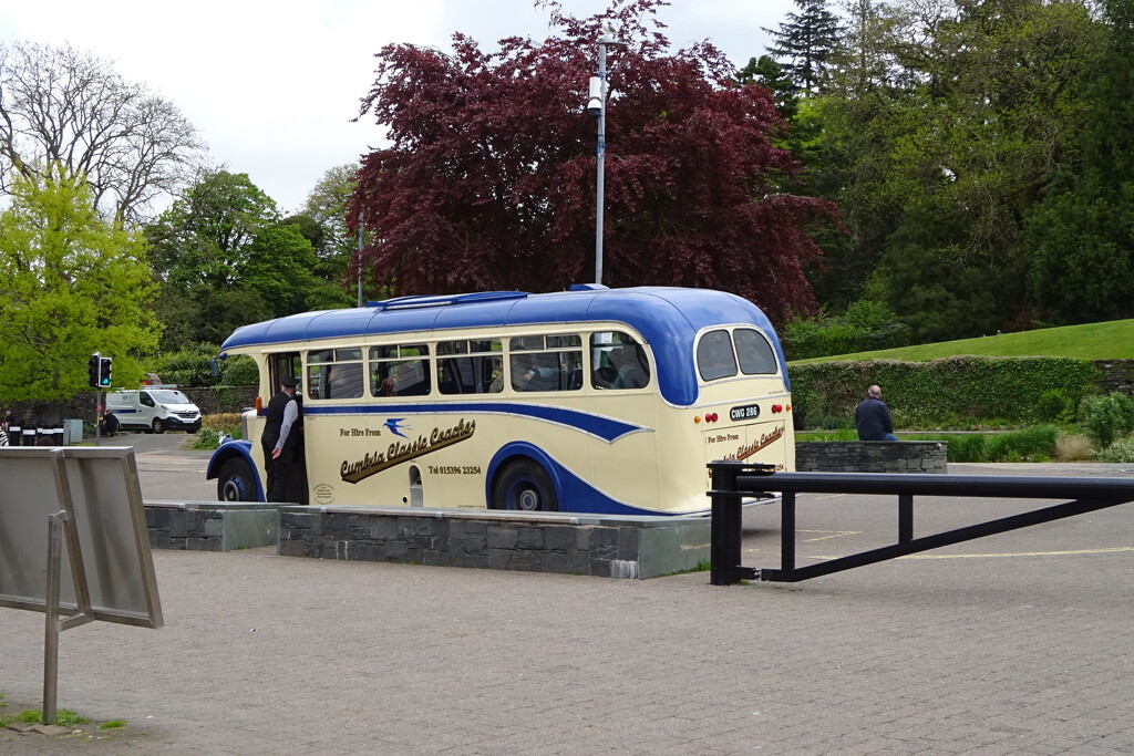 vintage bus by anniesue