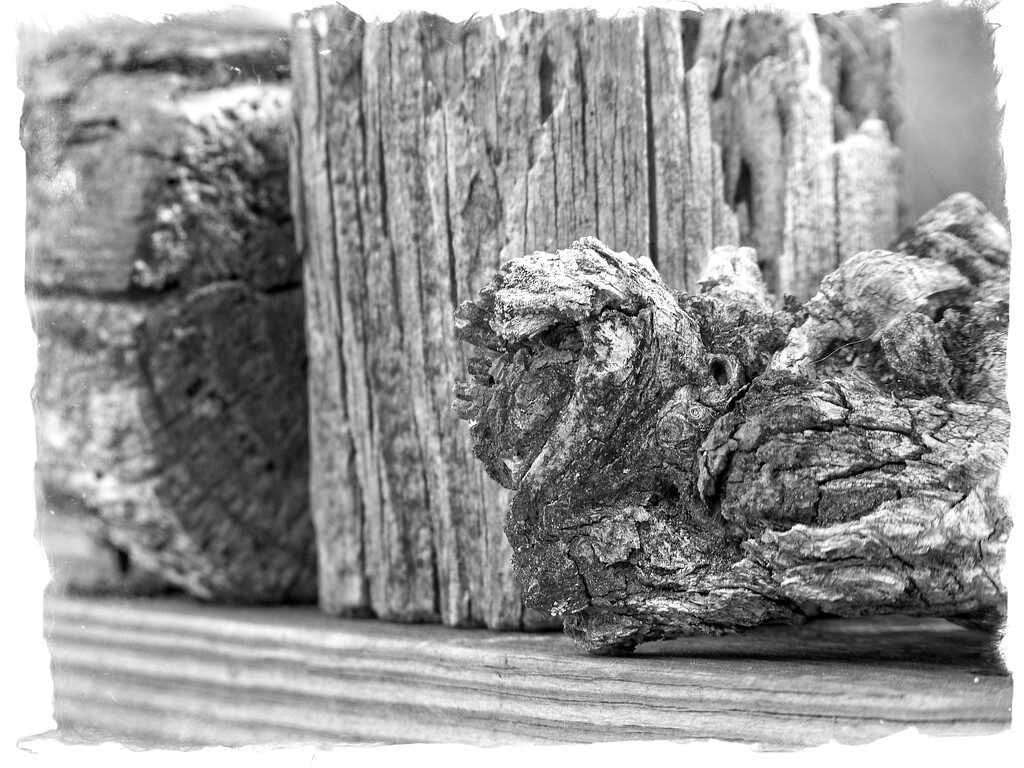 A few textures in wood... by marlboromaam