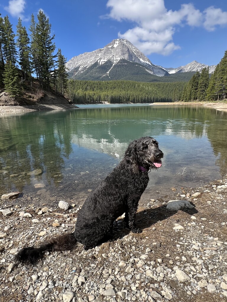 Ellie at an Alpine Lake by frantackaberry