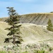 Farwell Canyon Landscape