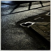 16th May 2023 - Puddle