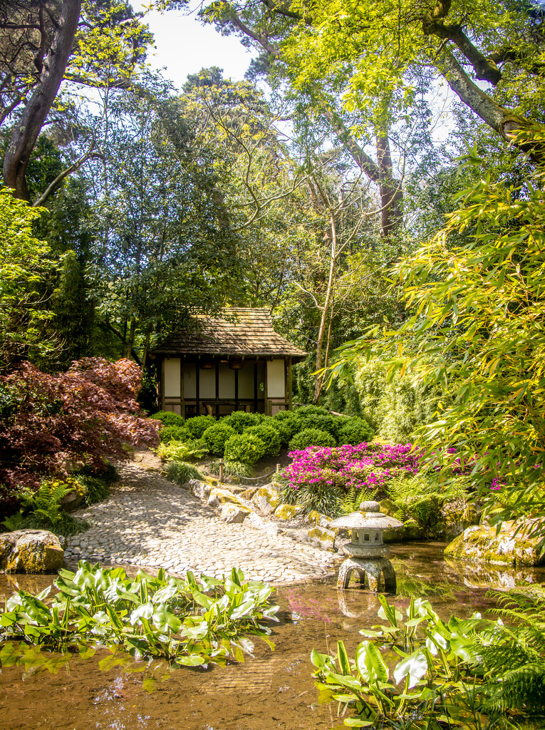 The Japanese Garden by swillinbillyflynn