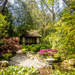 The Japanese Garden by swillinbillyflynn