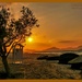 Tingaki Sunset (best viewed on black) by carolmw