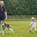 Dog Show Success by phil_howcroft