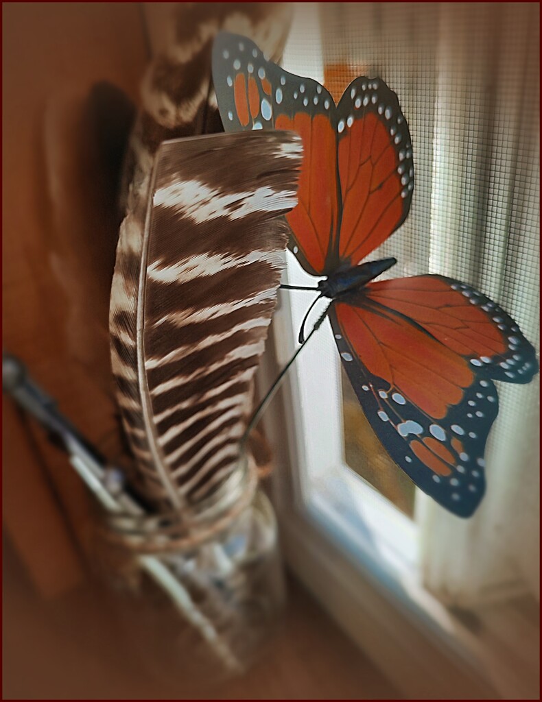 Butterfly Landing by olivetreeann