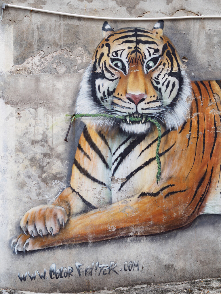 Tiger wall art, Chulia Street by ianjb21