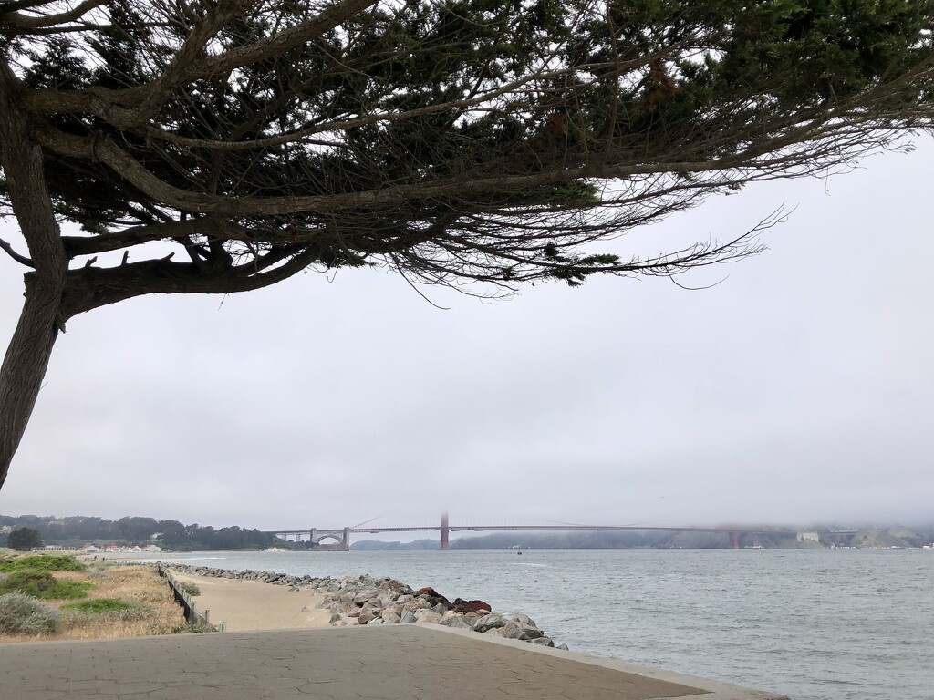 Golden Gate Bridge by loweygrace