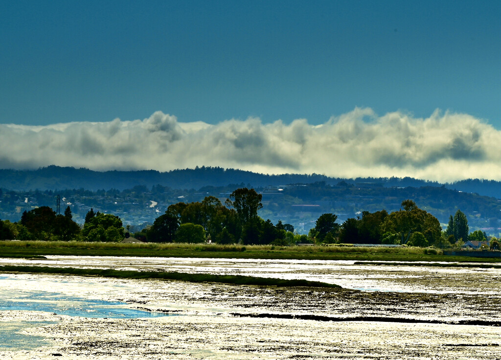 Fog Rolling into San Francisco Bay by ososki