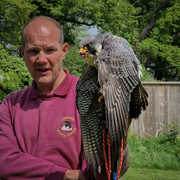 17th May 2023 - A day out at Cotswold Bird of Prey Centre ...