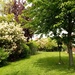 Garden in Spring  by g3xbm