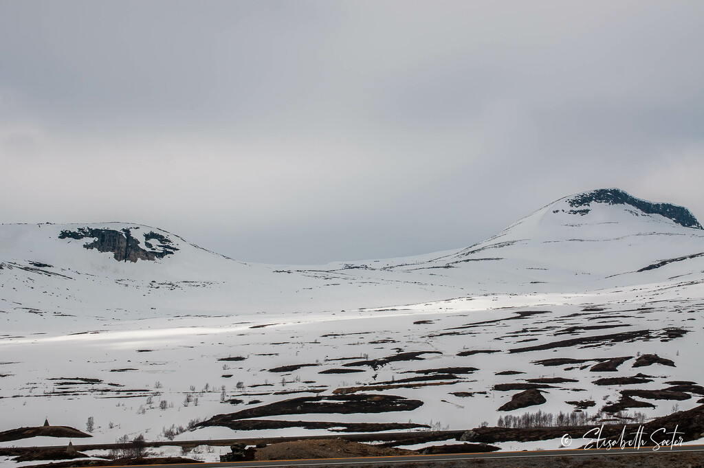 Saltfjellet  by elisasaeter