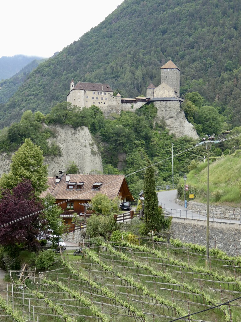 Up to Schloss Tirol, Castel Tirolo by orchid99