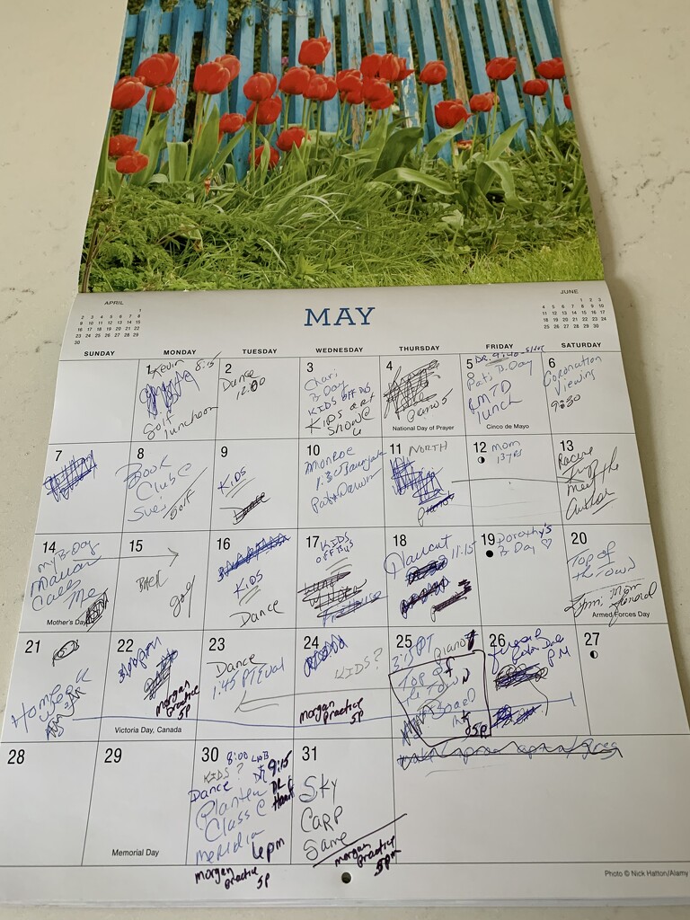 It's May, It's May, the Busy Month of May by lisab514