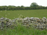 19th May 2023 - Dry Stone Wall