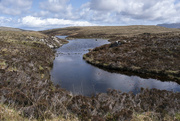 16th May 2023 - Lochdruidibag reserve