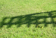 15th May 2023 - Shadows On The Lawn