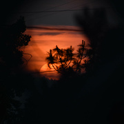 18th May 2023 - Sunset Through The Lattice Work...