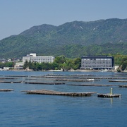 7th May 2023 - Miyajima Oyster Beds P4279785